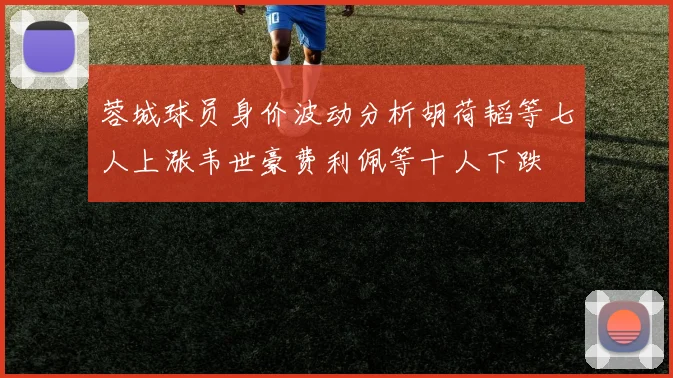 蓉城球员身价波动分析胡荷韬等七人上涨韦世豪费利佩等十人下跌